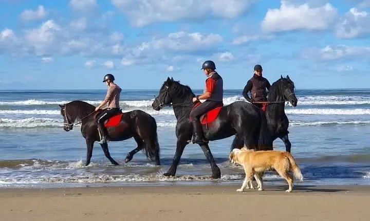 Horseback riding in Durrës