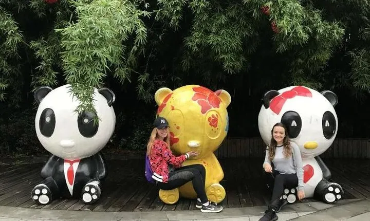 Morning Trip of Giant Panda Base in Chengdu