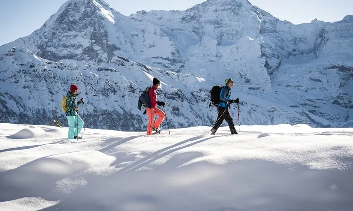 Snowshoe Tour Isenfluh