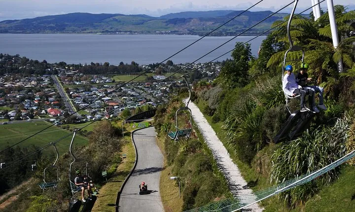 Private Tour Ziplining Forest Adventure from Rotorua