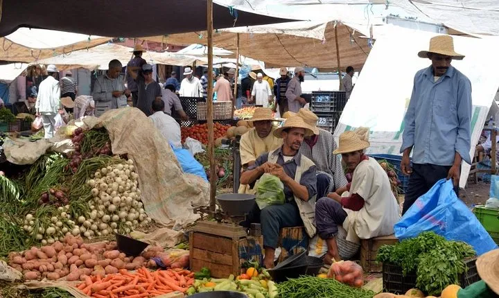 Guided Day Trip to Weekly Market at Atlas Mountains from Marrakech