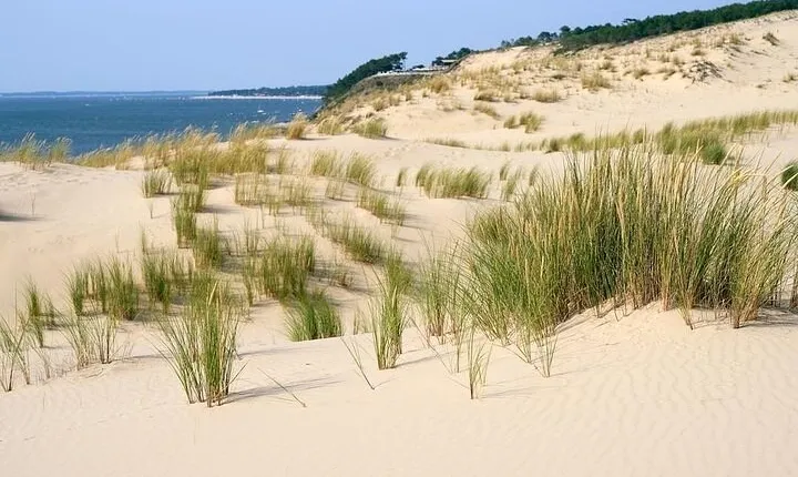 Dune of Pilat, Oysters and Arcachon ! What else?