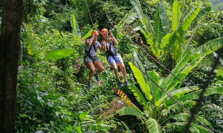 Zipline & Coffee with Waterfall Views in Koh Samui