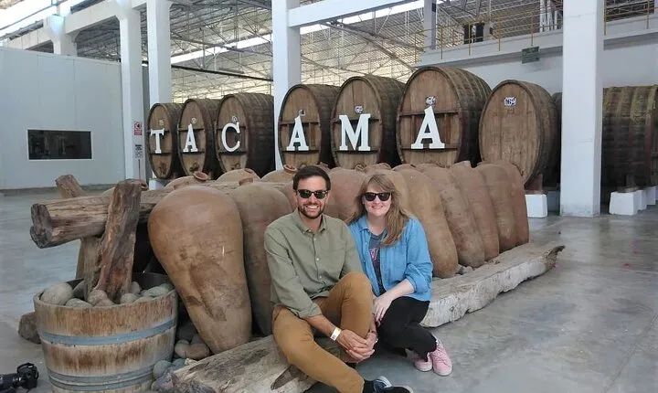 From Paracas: Full Day Ica