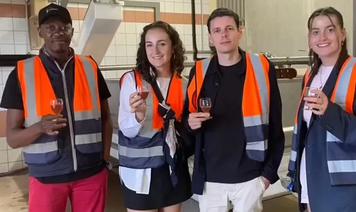 Full day of 8 hours harvest in Epernay