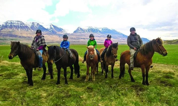 Family Friendly Horse Riding Tour in Skagafjörður