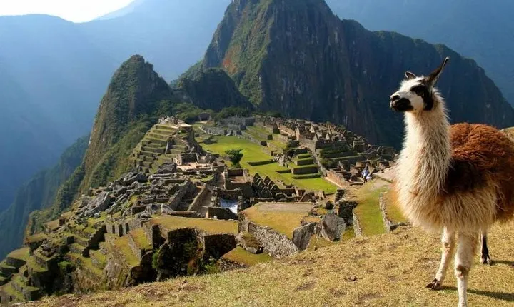 Machu Picchu Private Service