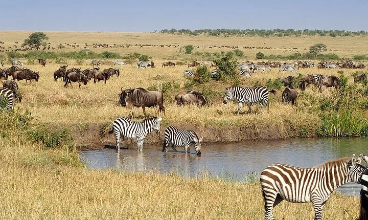 9 Days Savannah Dreams Private Tour