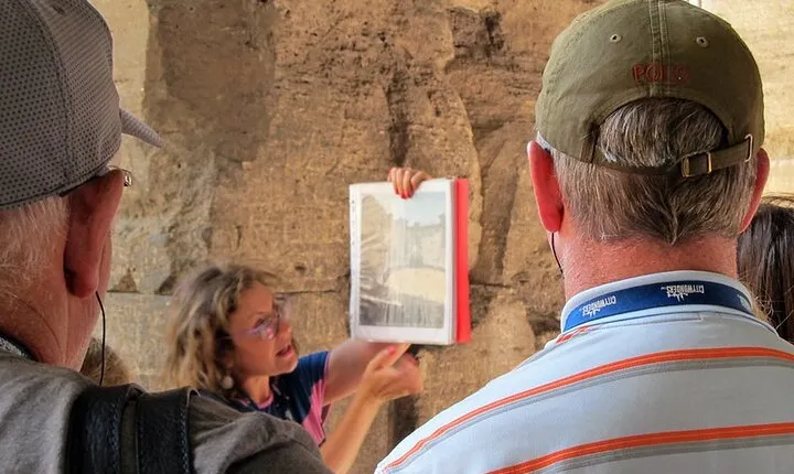Arles and Saint-Rémy-de-Provence Private Tour
