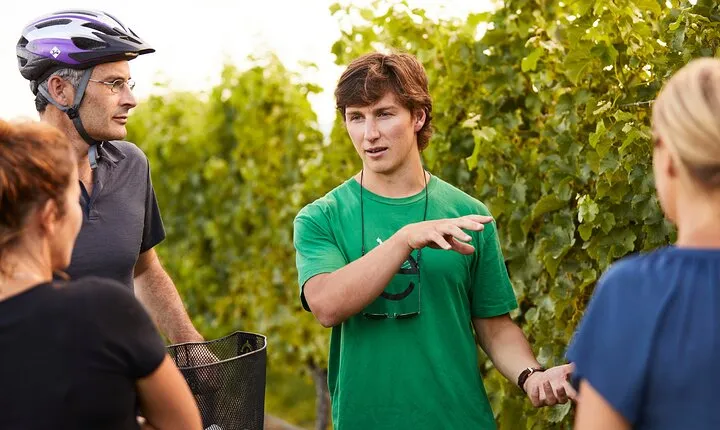 Morning Guided with Afternoon Self-Guided Biking Wine Tour