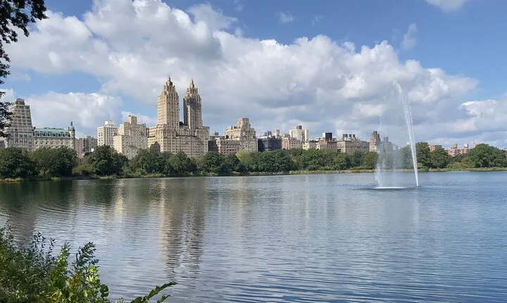 Private Top to Bottom Full Central Park Walking Tour