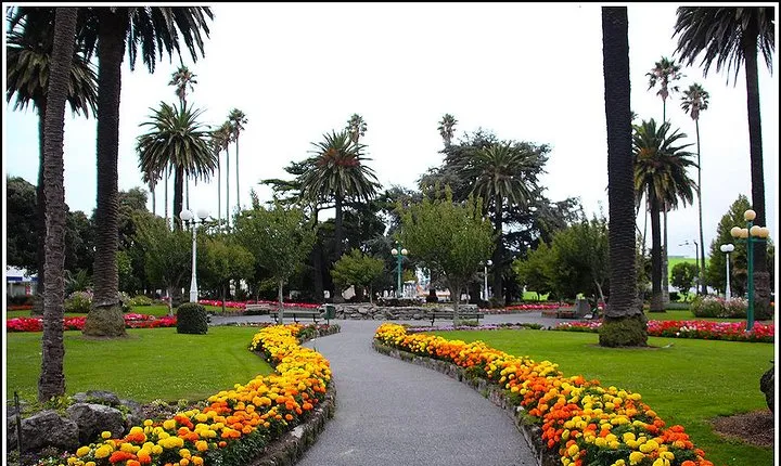 Napier sight seeing / Art Deco Tour -2- 2.5 hours