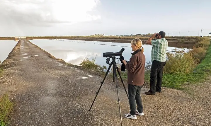 Ria Formosa Natural Park 8 days Tavira