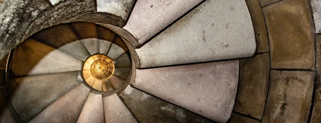 Gaudi’s Sagrada Familia with guided tour and tower entrance