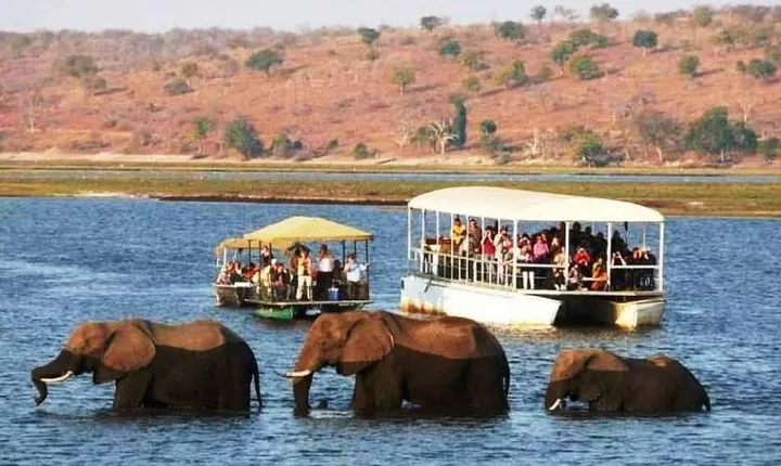 Chobe Safari Day Trip From Livingstone