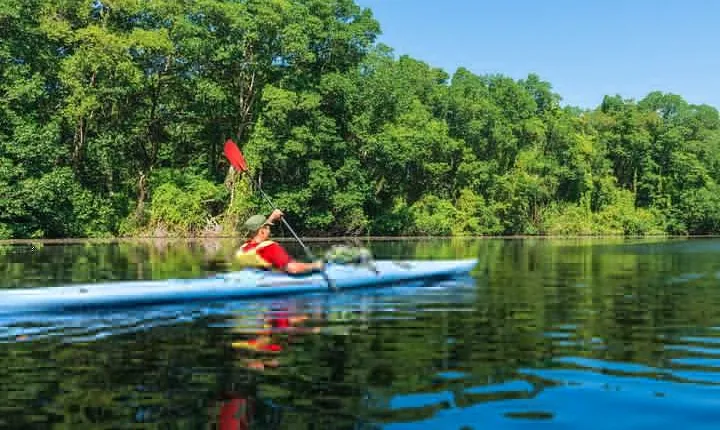 Flat Water Kayaking from Kitulgala