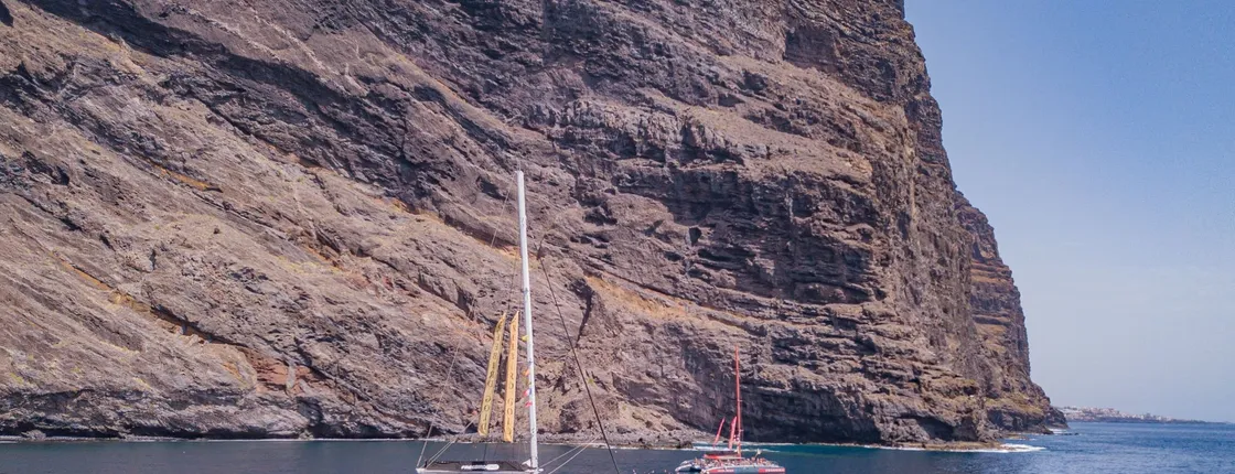 Exclusive Freebird Catamaran Whale & Dolphin Cruise to Masca