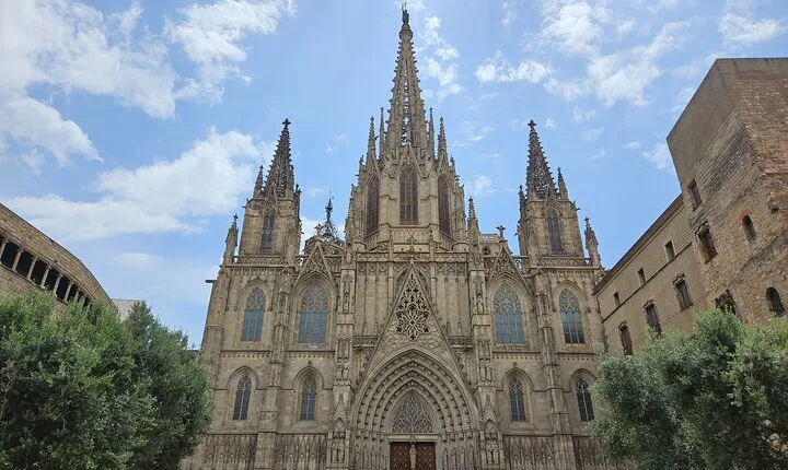 Cathedral of Barcelona Entrance Ticket - Optional Private Guide