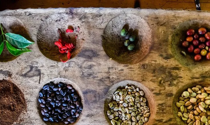 Bean to Cup: Traditional Coffee Preparation in Arusha
