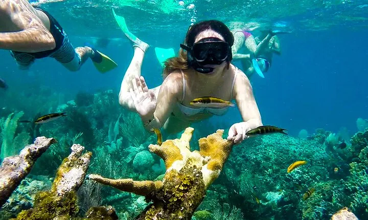 Experience Snorkeling Safari in Marsa Alam