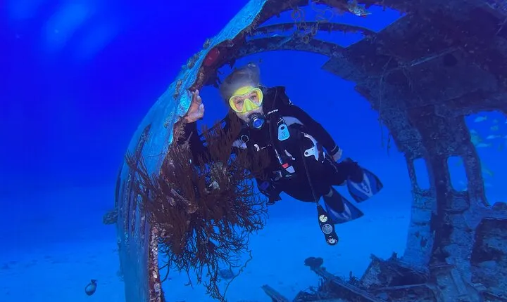Certified Diver: 2-Tank Deep Wreck and Shallow Reef Dive Off Oahu