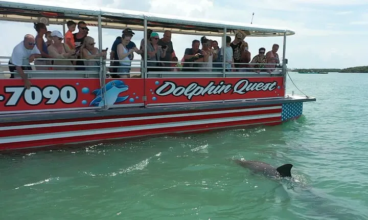 Dolphin Quest - Sightseeing/Eco Cruise, John's Pass, Madeira Beach, FL