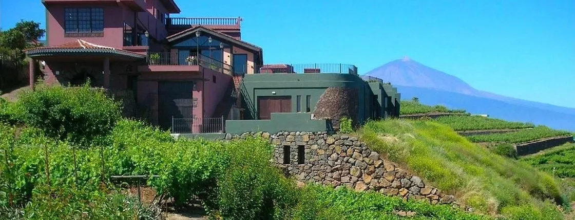 Bodegas Monje – Visit and Winetasting