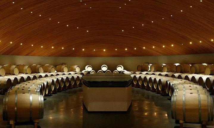 Clos Apalta and VIK Winery Private Experience with Lunch