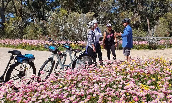 Pedals & Petals - Discovering Wildflowers Bike Tour Kings Park