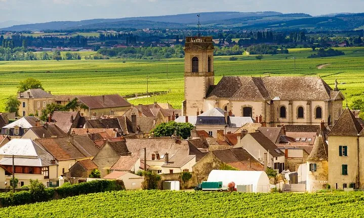 Private Burgundy Côte de Beaune Wine Tour Experience from Beaune