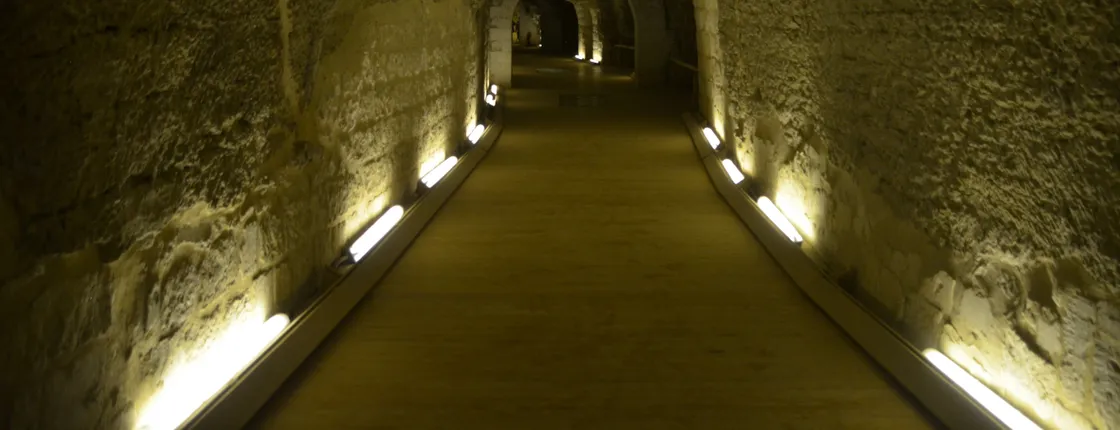 Full-day discover Saqqara Step Pyramid, Serapium and tomb of Mereruka