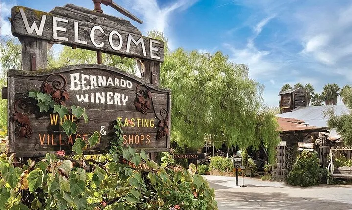 Private San Diego County Wine Tour