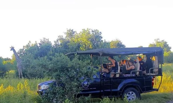Chobe Full day