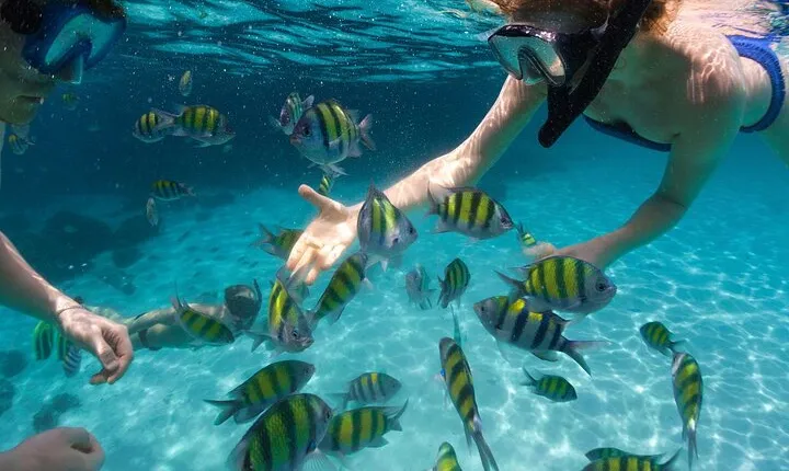 Miami to Key West Day Trip with Activity Options