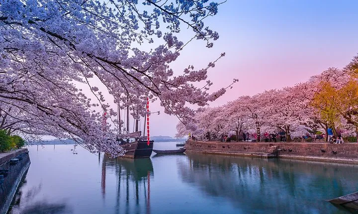 Private Transfer between Wuxi city and Taihu Yuantouzhu Scenic