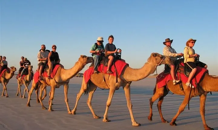 7 Hour Quad Bike Safari, Camel Ride, BBQ Dinner & Show