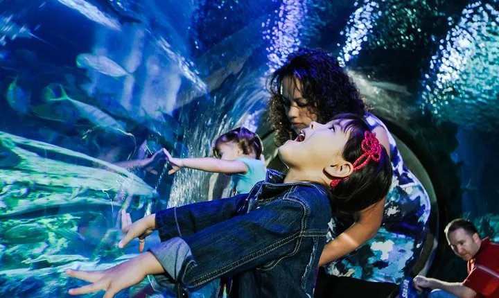 SEA LIFE Kansas City Aquarium Admission Ticket