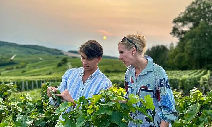 Champagne Private Wine Day Trip with Lunch and Wine Tastings