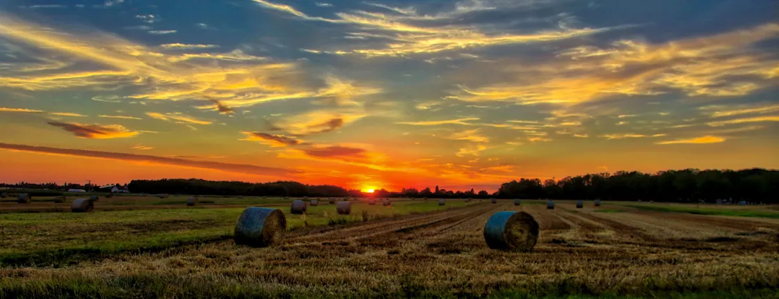 Romantic Chianti at Sunset - Small Group Excursion from Florence with Wine Tastings