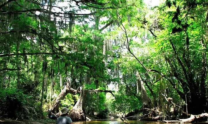 Wild & Scenic Loxahatchee River Guided Tour