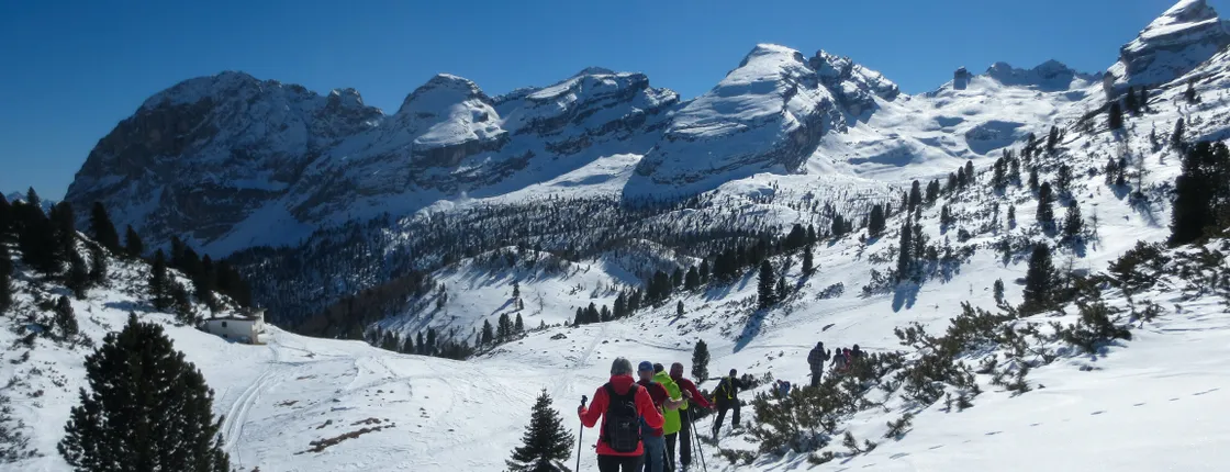 Snowshoe hiking in Bergen