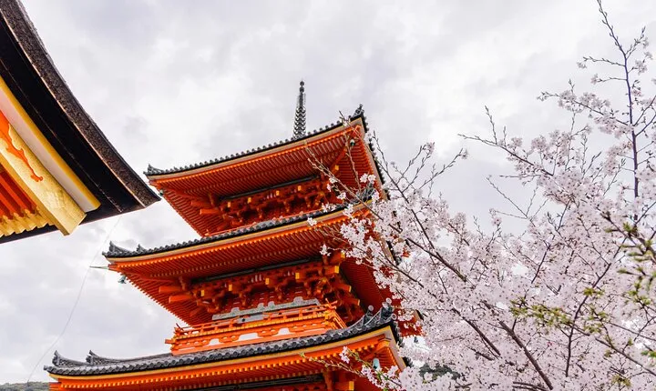 Full Day at the Top UNESCO Sites in Kyoto 360
