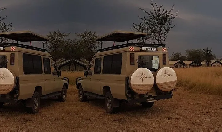 3 Day Lake Manyara, Ngorongoro crater, Tarangire Safari
