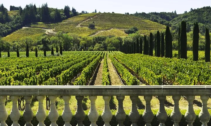 Private Half Day Txakoli Wine Tour & Getaria Fishing Village