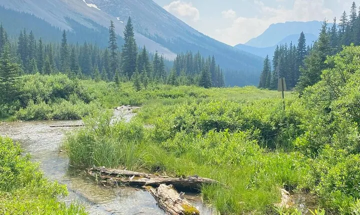 Custom Guided Hike in Canmore Kananaskis
