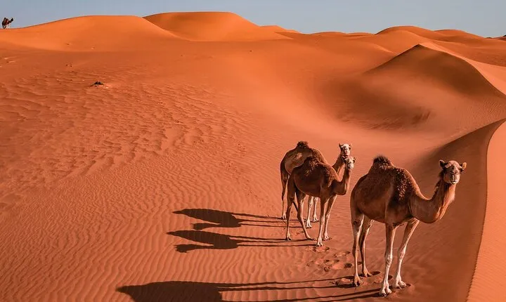 2 Days and 1 Night Private Wahiba Sands Desert Tour