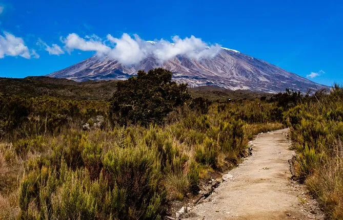 Day Hike Mt Kilimanjaro through Scenic Route of Machame