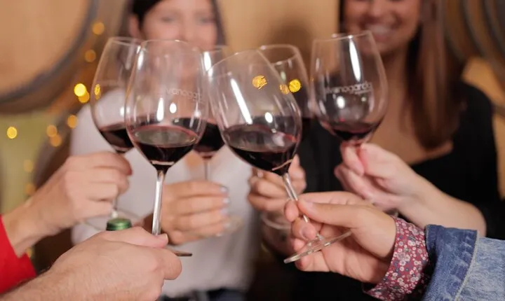 Explore an urban winery and enjoy a Jumilla wine tasting