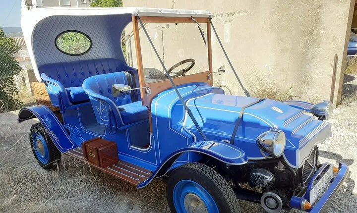 Visit to the Motor Museum in a modern carriage