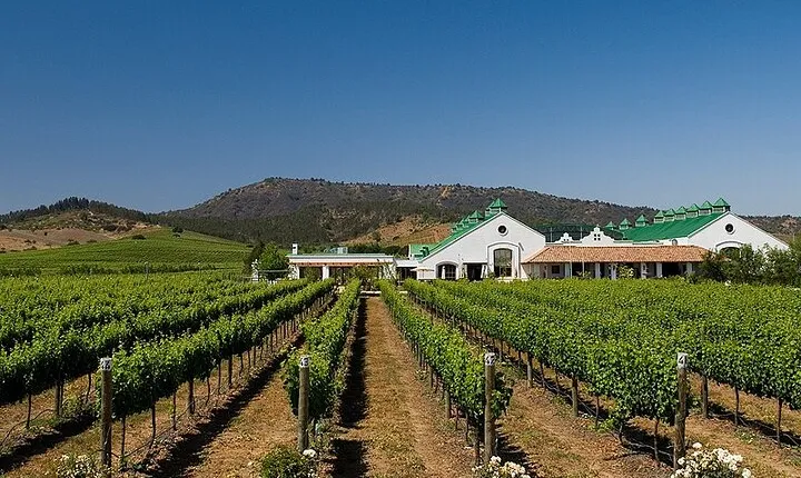 Casas del Bosque Vineyard with Lunch Menu included from Santiago
